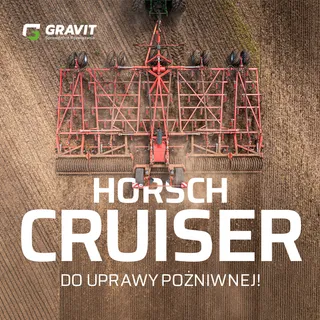 Kreacje social media