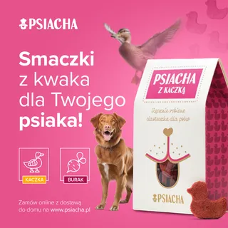 Psiacha — Kaczka