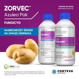 Kreacje social media