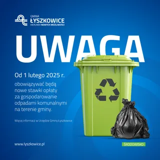 Kreacje social media
