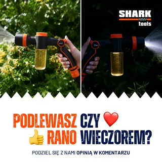 Shark Tools — postownik czerwiec 2026