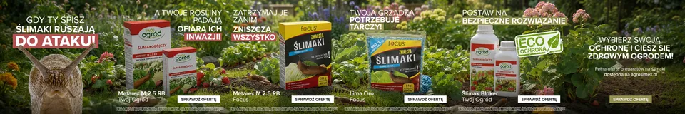 Twój Ogród — kampania na ślimaki