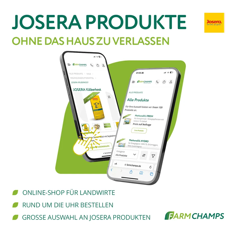 Google Ads — DE